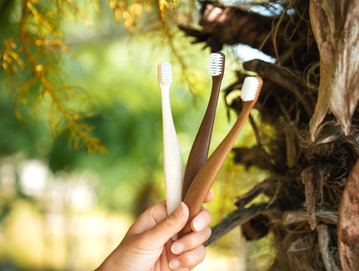 por qué elegir promis